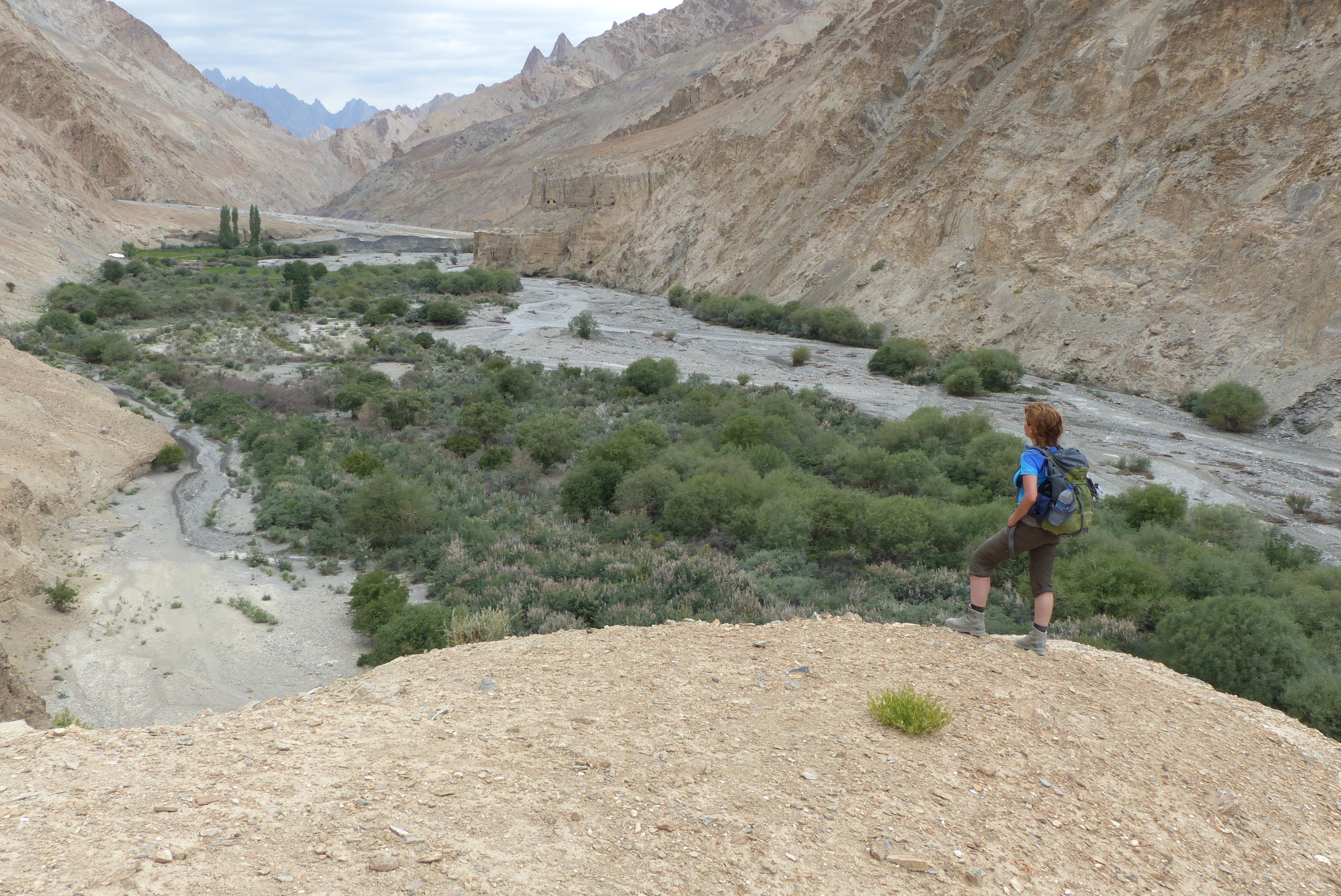 Ladakh - Markha Valley Camping Trekking (41)
