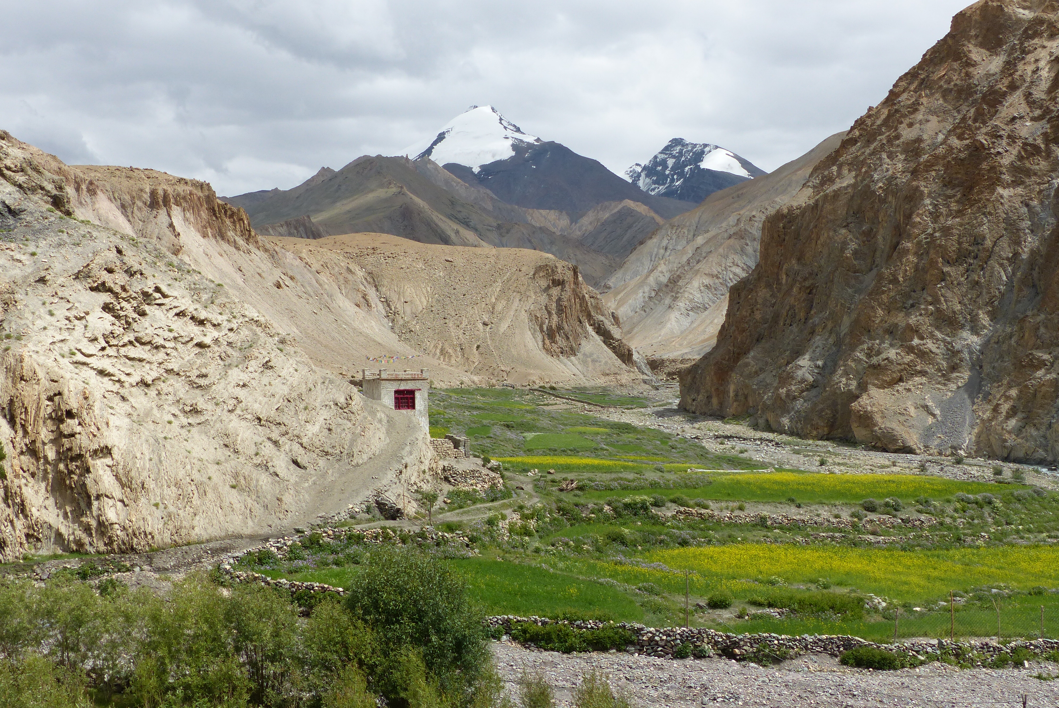 Ladakh - Markha Valley Camping Trekking (79)