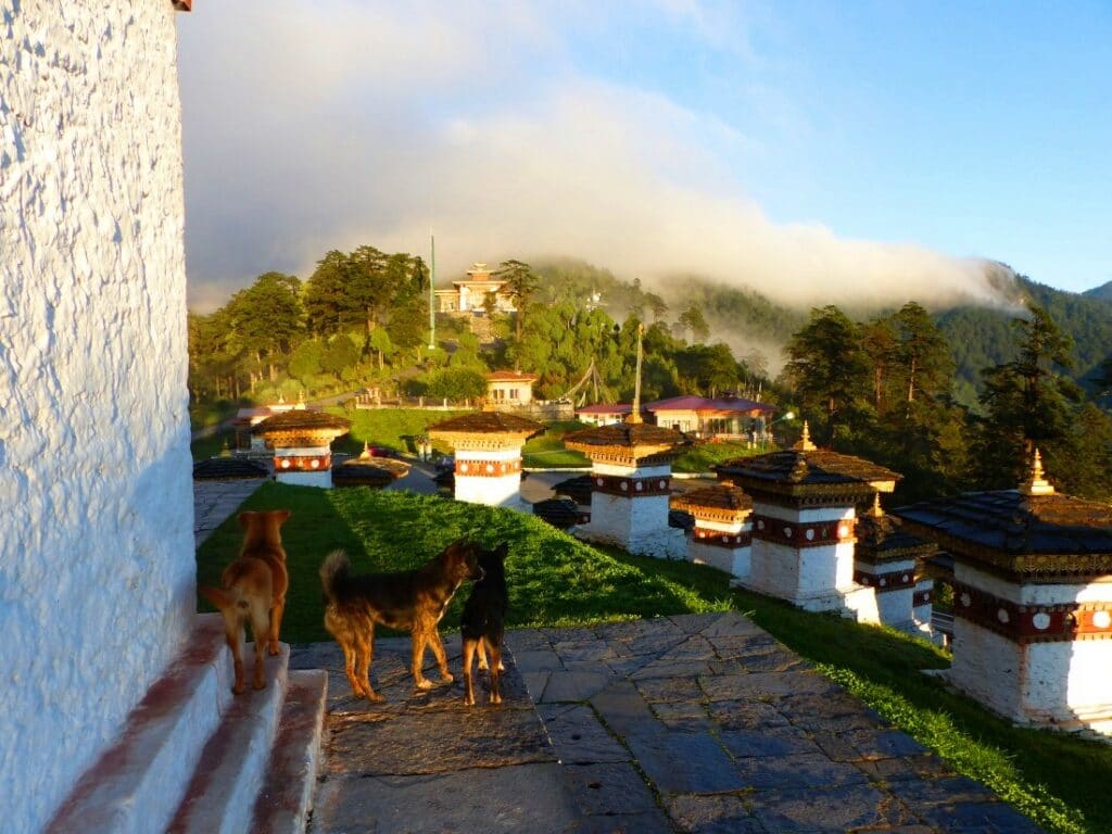Stupas in Dochula Pass in Nepal mit drei Hunden
