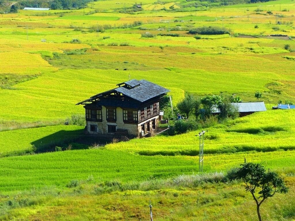 Lokales Haus im Grünen in Bhutan