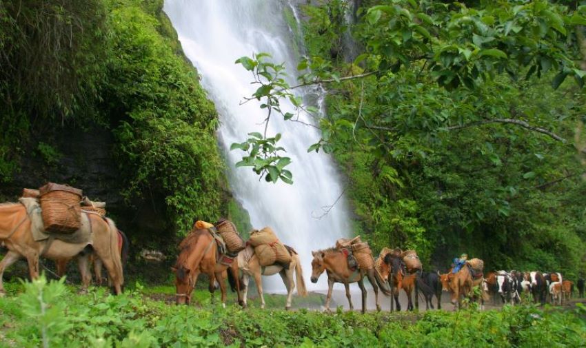 Druk Path Trekking Bhutan Pferde und Wasserfalll